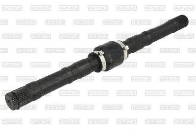 ШРУС PASCAL G81003PC