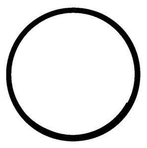 Вращающееся кольцо, коленчатый вал REINZ 71-31304-00