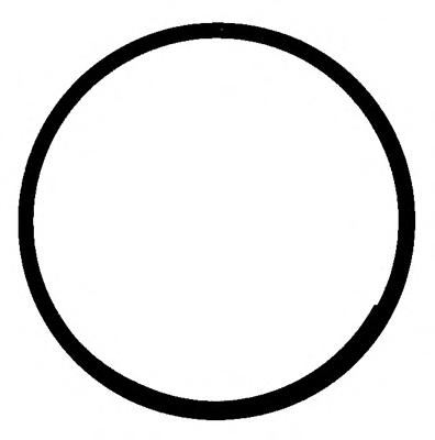 Вращающееся кольцо, коленчатый вал REINZ