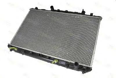 Радиатор охлаждения THERMOTEC D72013TT