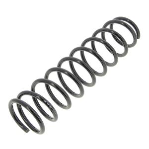 Пружина ходовой части KYB RG5383