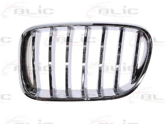 Решетка радиатора BLIC