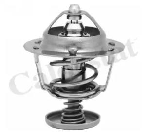 Термостат VERNET