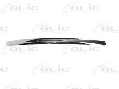 Облицовка / защитная накладка, облицовка радиатора BLIC 6502-07-2533993P