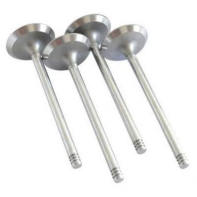 Впускной клапан ASAM