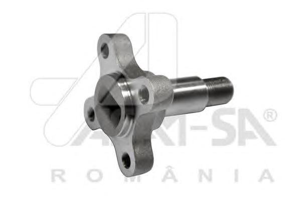 Ступица колеса ASAM