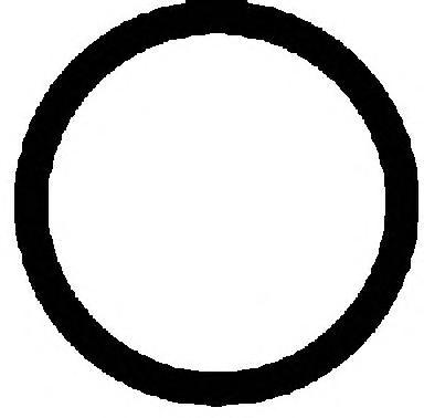 Прокладка, впускной коллектор REINZ