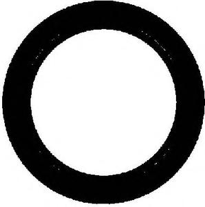 Прокладка, труба выхлопного газа REINZ 71-31833-00