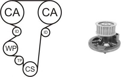 Водяной насос + комплект зубчатого ремня AIRTEX