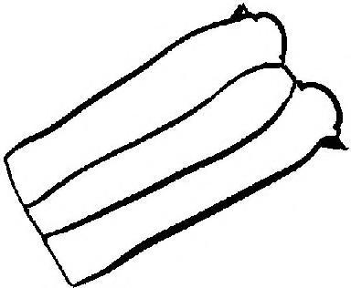 Прокладка, крышка головки цилиндра REINZ