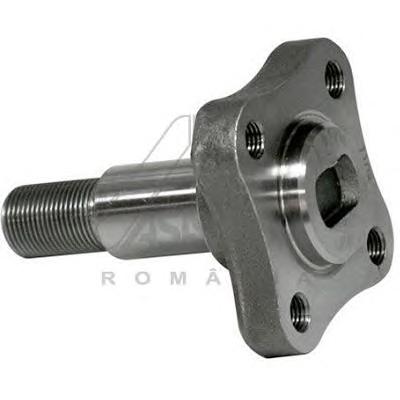 Ступица колеса ASAM