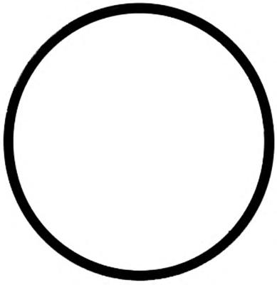 Прокладка, труба выхлопного газа REINZ