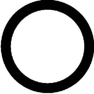 Прокладка, труба выхлопного газа REINZ 712366220