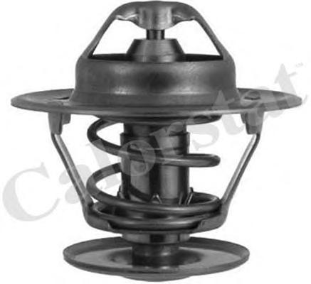 Термостат, охлаждающая жидкость CALORSTAT by Vernet