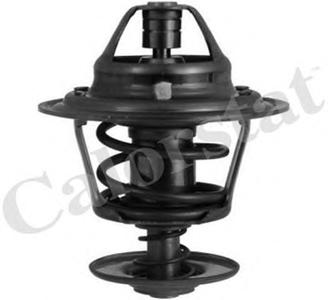 Термостат, охлаждающая жидкость CALORSTAT by Vernet TH3357.82J