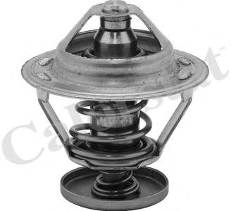 Термостат, охлаждающая жидкость CALORSTAT by Vernet TH5079.76J