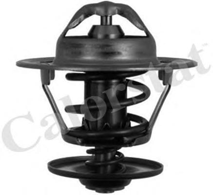 Термостат, охлаждающая жидкость CALORSTAT by Vernet