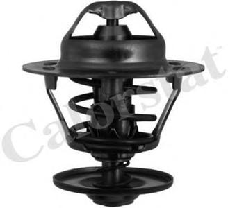 Термостат, охлаждающая жидкость CALORSTAT by Vernet TH5750.92J