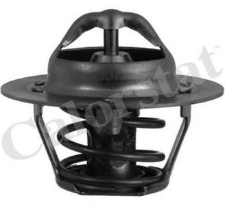 Термостат, охлаждающая жидкость CALORSTAT by Vernet TH5977.88J