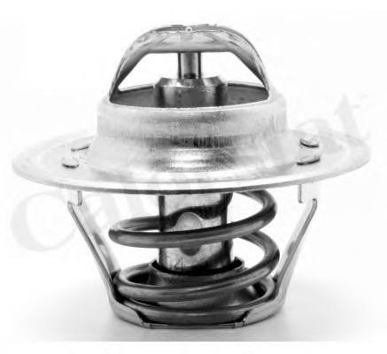 Термостат, охлаждающая жидкость CALORSTAT by Vernet