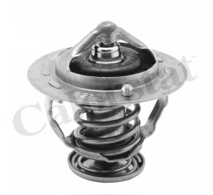 Термостат, охлаждающая жидкость CALORSTAT by Vernet