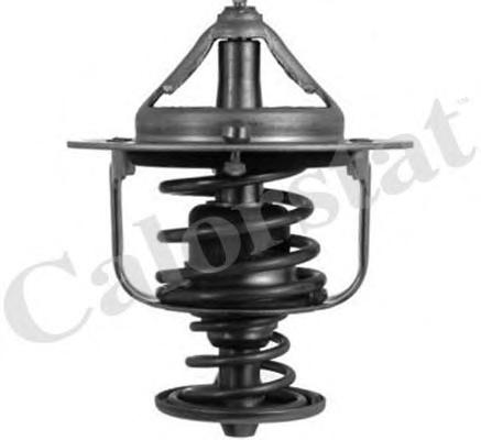 Термостат, охлаждающая жидкость CALORSTAT by Vernet