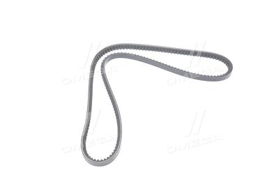 Ремень клиновой 13a1225gl case ih, fendt 100, 200, massey ferguson, iveco eurocargo i-iii, man m 90, RIDER RD 13A1225VS