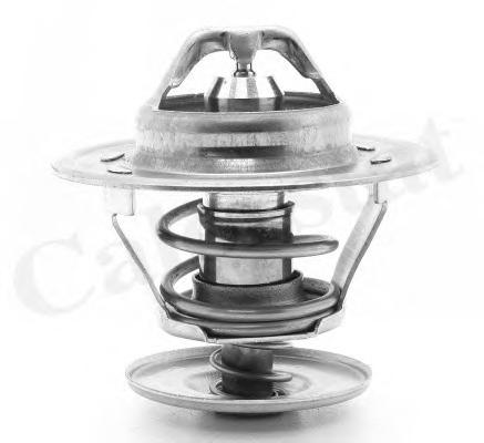 Термостат, охлаждающая жидкость CALORSTAT by Vernet