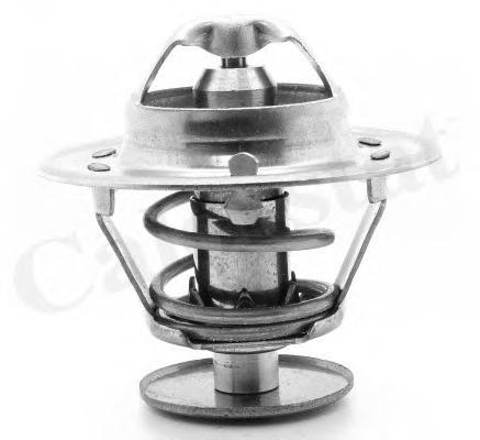 Термостат, охлаждающая жидкость CALORSTAT by Vernet