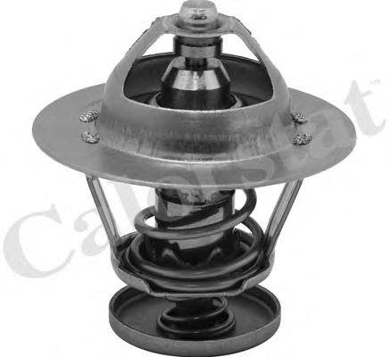 Термостат, охлаждающая жидкость CALORSTAT by Vernet