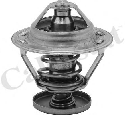 Термостат, охлаждающая жидкость CALORSTAT by Vernet