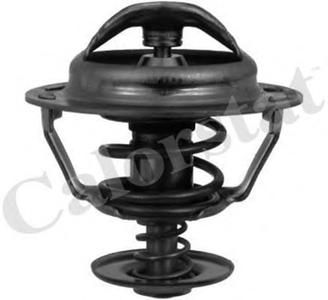 Термостат, охлаждающая жидкость CALORSTAT by Vernet TH5130.83J