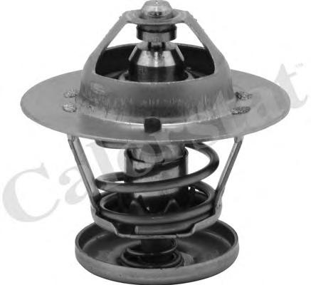 Термостат, охлаждающая жидкость CALORSTAT by Vernet