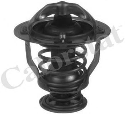 Термостат, охлаждающая жидкость CALORSTAT by Vernet