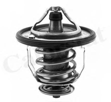 Термостат, охлаждающая жидкость CALORSTAT by Vernet