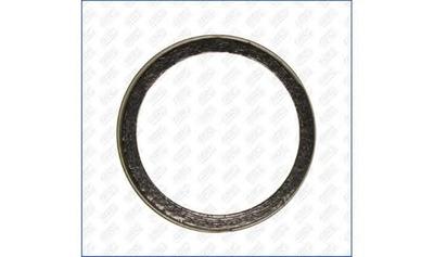 Уплотнительное кольцо, труба выхлопного газа AJUSA 19006200